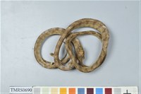 藏品(大頭蛇)的圖片